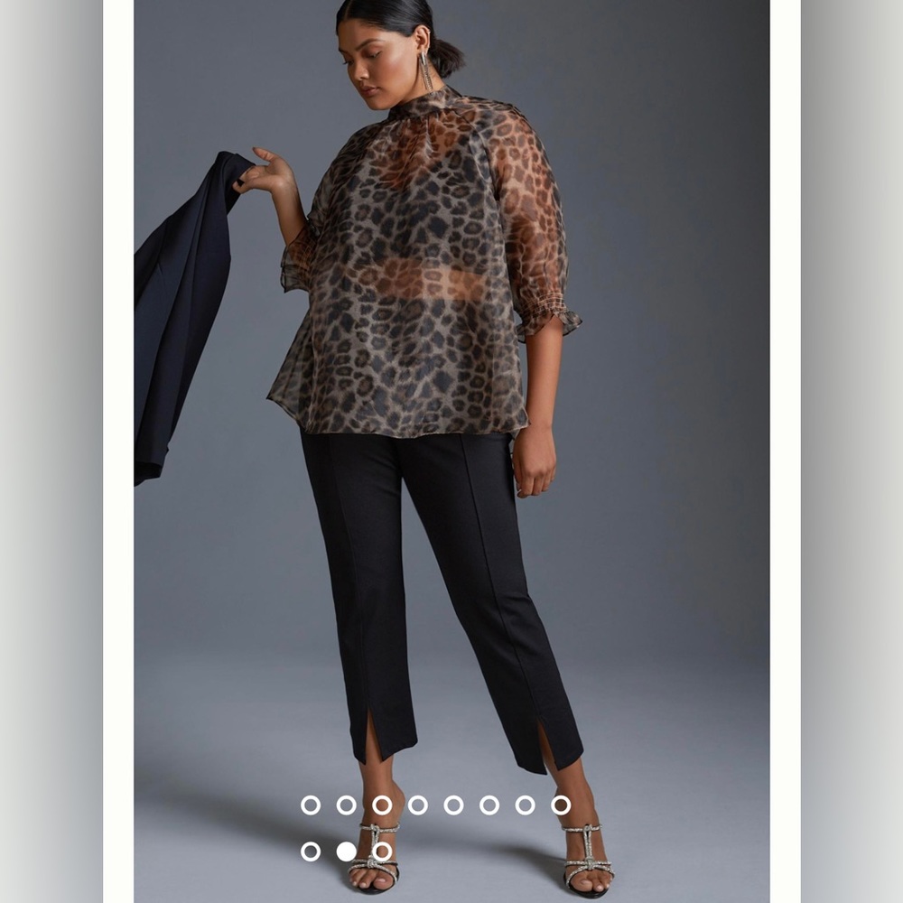 Daniel Rainn Sheer Blouse from Anthropologie - NWOT Plus 3x